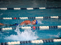 Ladidas- Midlothian Folder-15