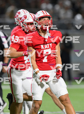 DLS_8837