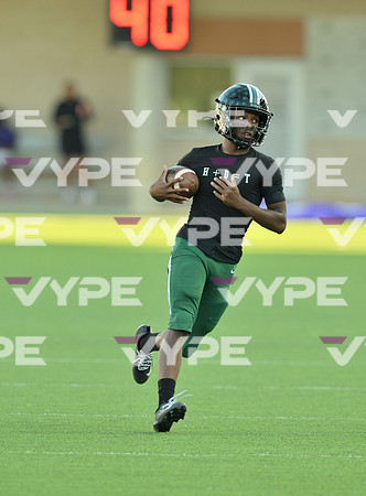DLS_7728