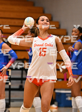 DLS_4411