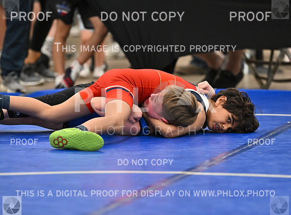 DLS_7844-3