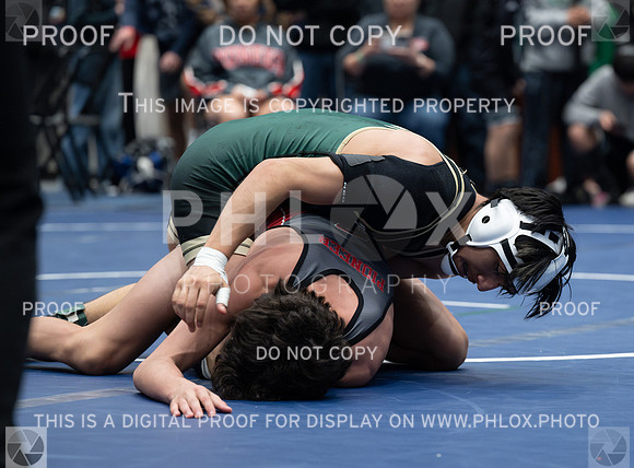 DLS_6645