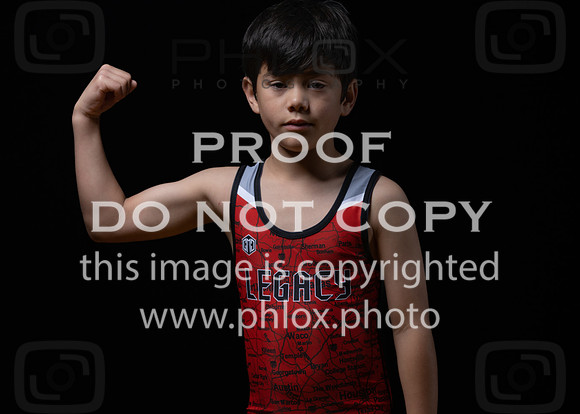 DLS_0078