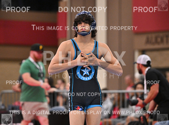 DLS_6199