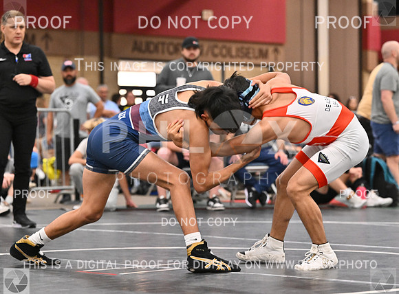 DLS_6466