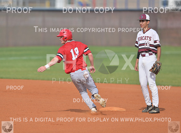 DLS_2518