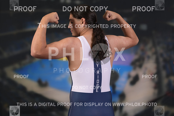 DLS_1372