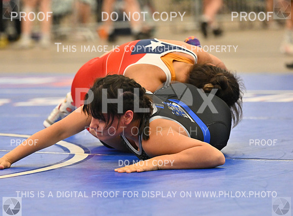 DLS_8184