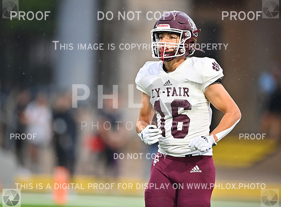 DLS_5169