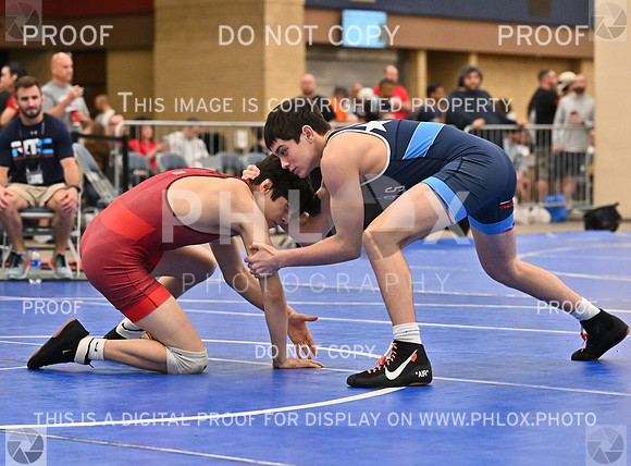 DLS_8480