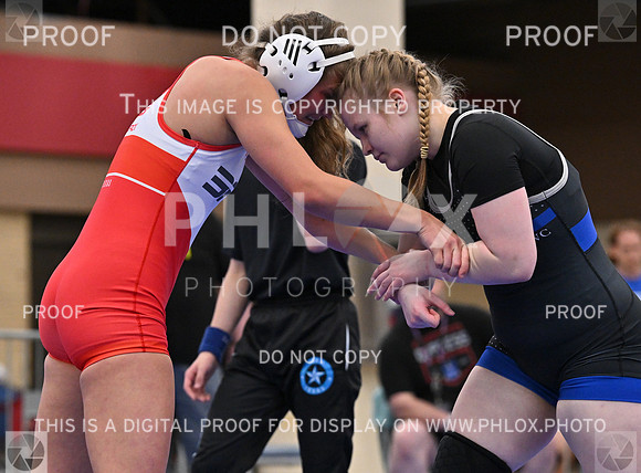 DLS_6297