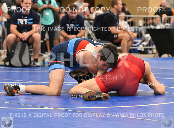 DLS_8487