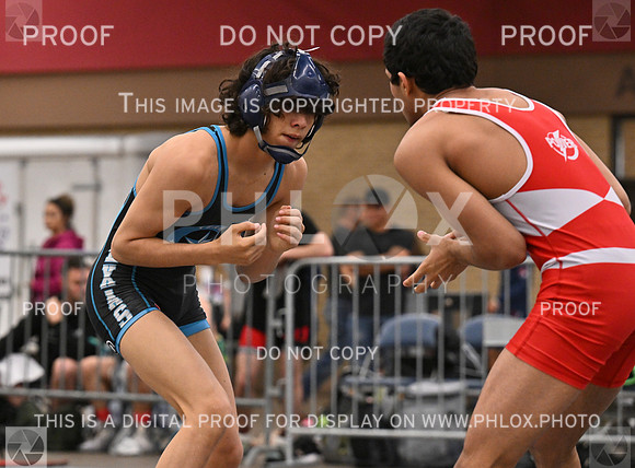 DLS_5781