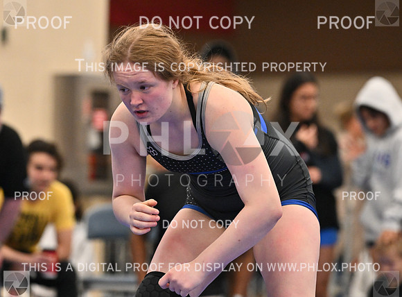 DLS_8848