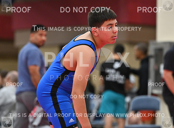 DLS_7352