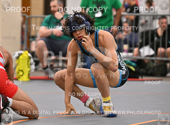 DLS_5794