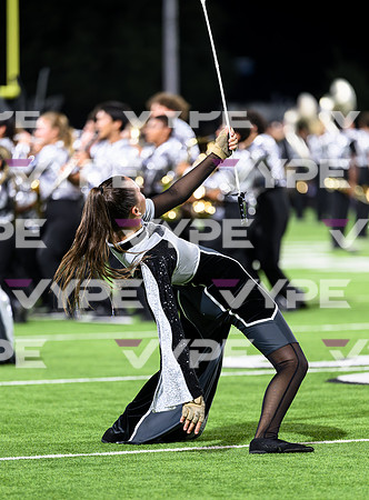 PSZ_201338