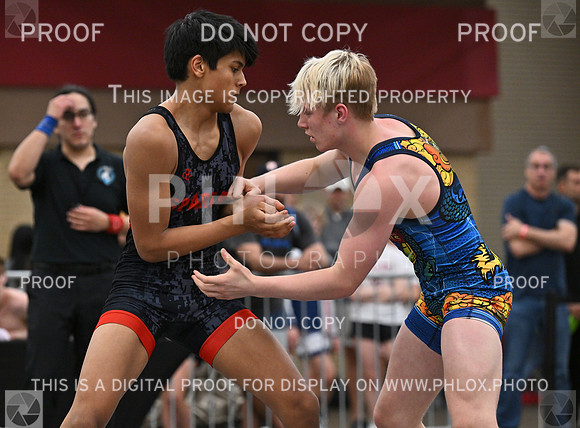 DLS_5984