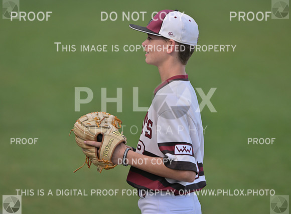 DLS_2920