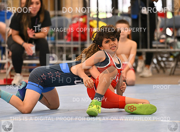 DLS_7225
