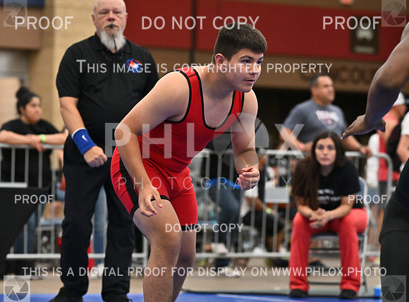 DLS_9336