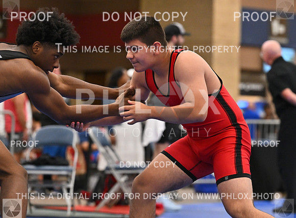 DLS_9340