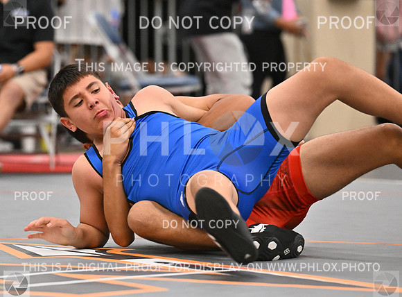 DLS_7578-3