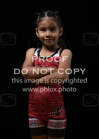 DLS_0069