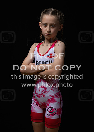 DLS_0100