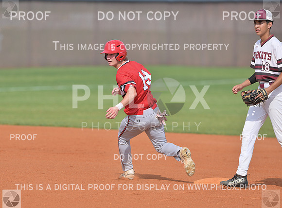 DLS_2519