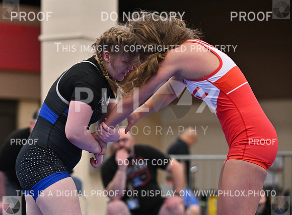 DLS_6340