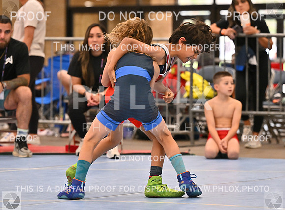 DLS_7220