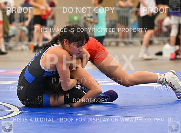 DLS_8182
