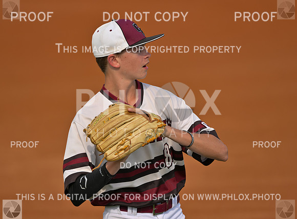 DLS_2705