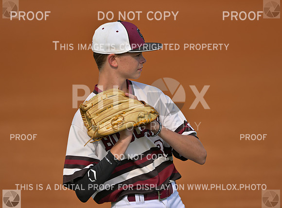 DLS_2739