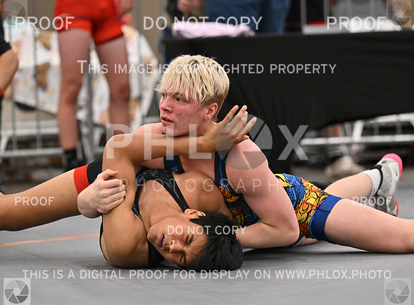 DLS_5915