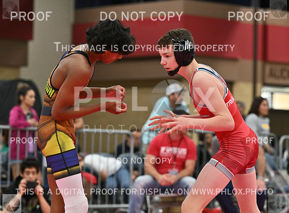 DLS_6183