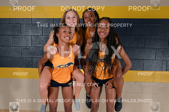 DLS_1192