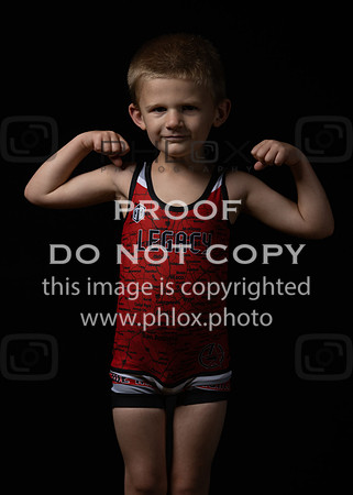 DLS_0113