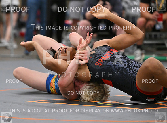 DLS_6014