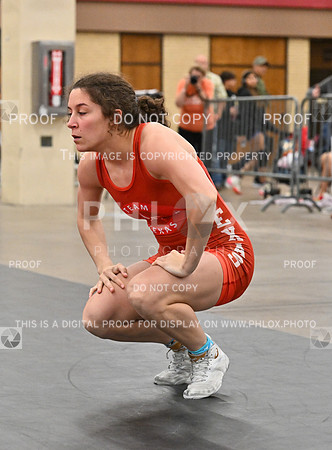 DLS_8251