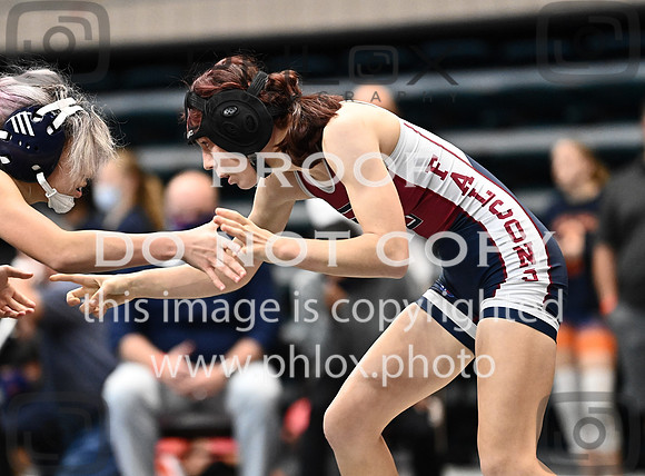 DLS_2671