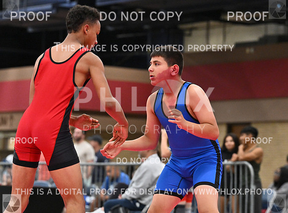 DLS_7380