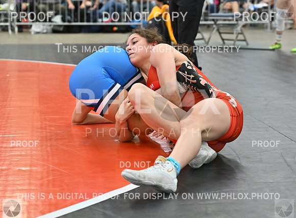 DLS_8244