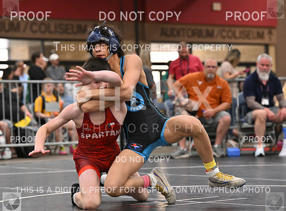 DLS_6529