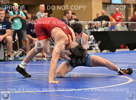 DLS_8485