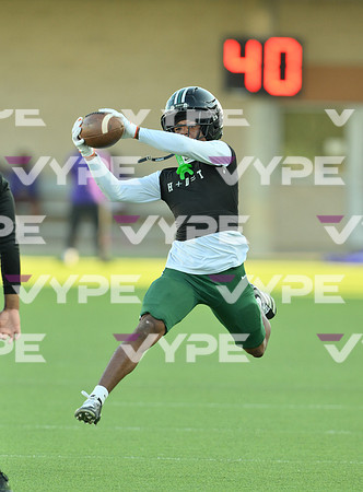 DLS_7699