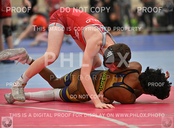 DLS_6191