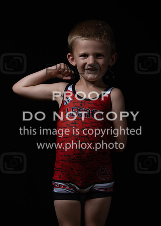 DLS_0108