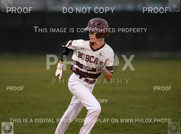DLS_4039